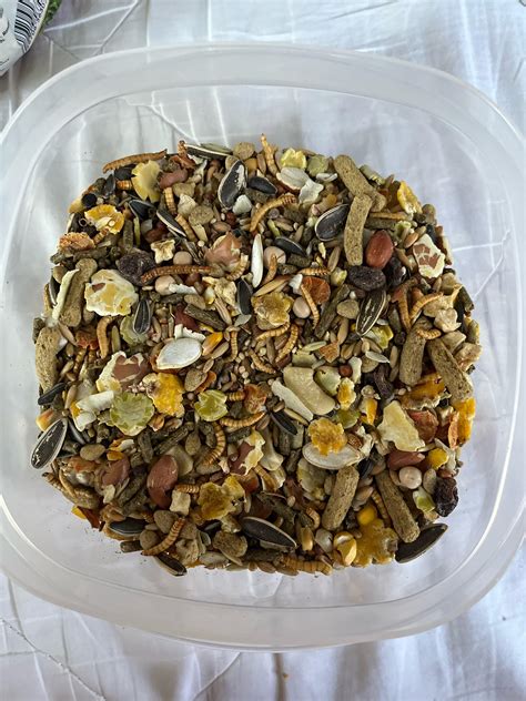 Opinion on my Syrian hamsters food? : r/hamsters