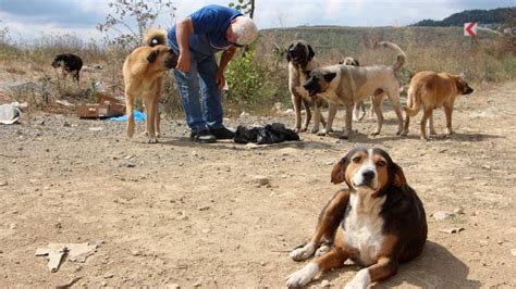 Sokak köpeğini besleyen emeklilere sahte savcıdan dayak