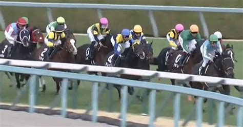 218阪神6r⭐︎勝負レース⭐︎パドック後予想3連単｜馬人all The People｜note