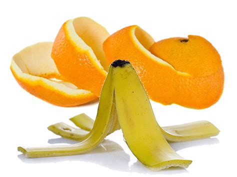 Banana Peel PNG Image File | PNG All