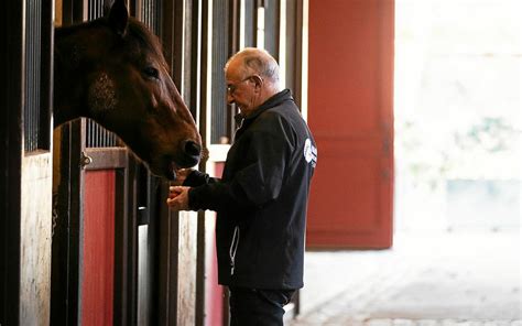 Toutes Les Questions Que Vous Vous Posez Sur Le Haras National D