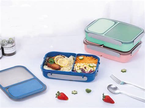 Introduction To The Classification Of Lunch Boxes