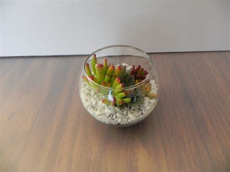 Small Succulent Arrangement In Terrarium Or Glass Bowl Succulent T