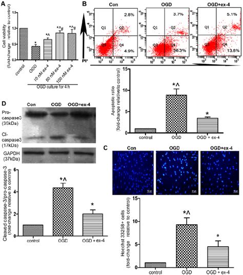 Exendin Ex Protects Mesenchymal Stem Cells Mscs From Oxygen And