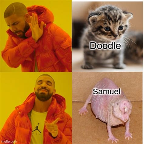 Samuel Imgflip