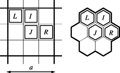 A Schematic Illustration Of The Cell In Our Coarse Grained Model Download Scientific Diagram