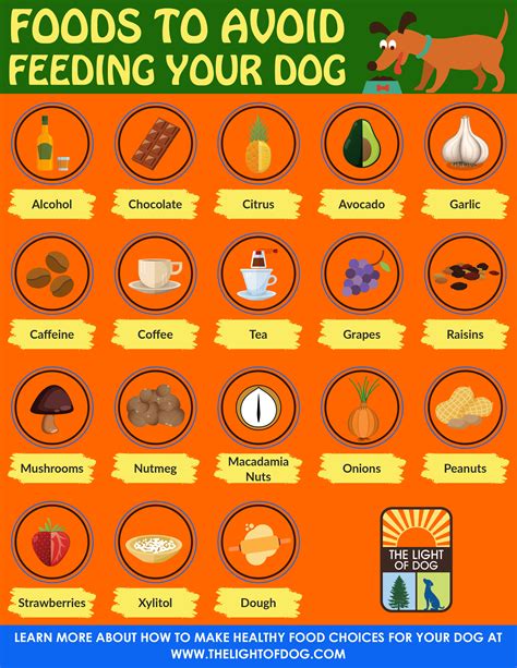 What Foods To Avoid For Dogs