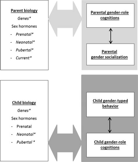 Biological Factors And Gender Role Cognitions Download Scientific Diagram