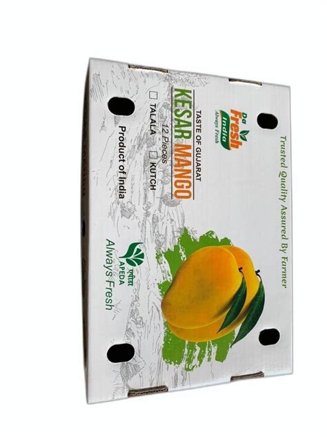 Standred Kraft Paper Mango Corrugated Box Box Capacity 6 10 Kg At ₹ 28 Piece In Rajkot