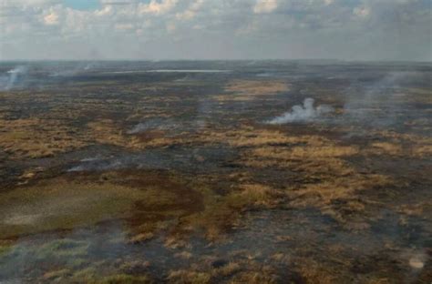 Santa Fe Amplió La Denuncia Por Las Quemas En El Delta Del Paraná