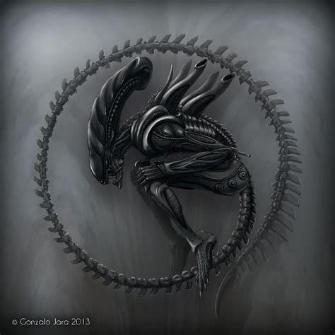 Xenomorph By Topgon On Deviantart