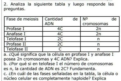 Solved Analiza La Tabla Y Responde Las Siguientes Preguntas Analiza La