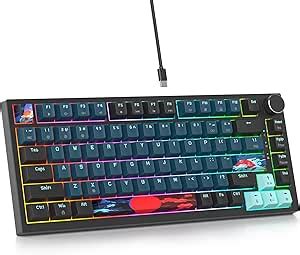 SOLIDEE Mechanical Keyboard Wired 75 Percent Hot Swappable Keyboard