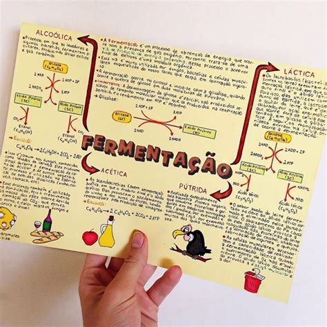 Mapa Mental Sobre Fermenta O Study Maps