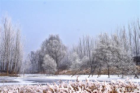 前几天，聊城迎来了2023年的第一场雪，点点雪花，点缀在天地间财经头条