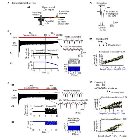 Neuronal Responses To Stimulations With Different Inter Pulse