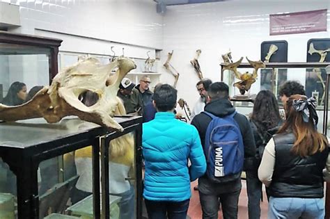 El Museo De Anatomía Veterinaria De La Fcv De La Uba Fue Parte De La