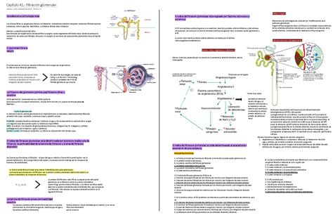 CAP 41 Filtracion Glomerular Warning TT Undefined Function 32