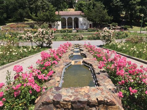 8 Rose Gardens to Visit in the Bay Area - The Guardsman