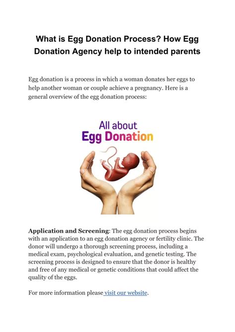 PPT What Is Egg Donation Process PowerPoint Presentation Free