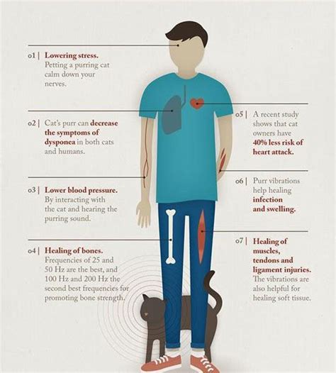 The Healing Power Of Cat Purrs [infographic] Best Infographics