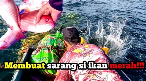 Membuat Sarang Ikan Rumpon Atau Rompong Di Laut Untuk Spot Mancing Si