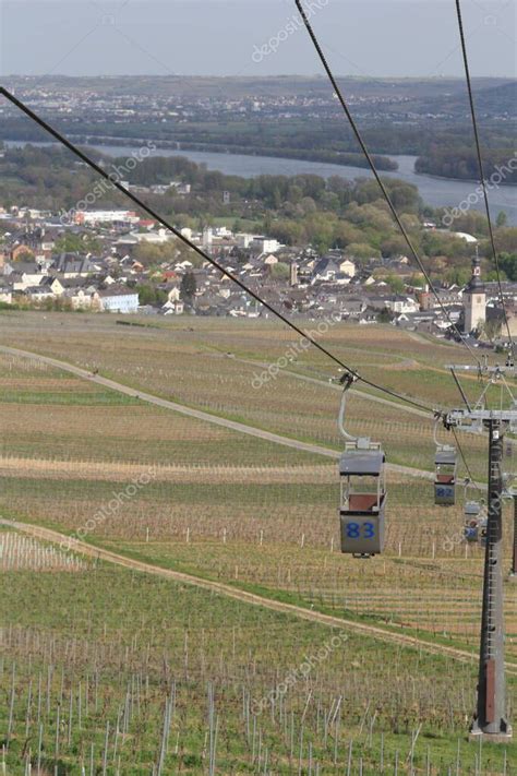 Rudesheim Am Rhein Vineyards Hesse Alemania Rdesheim Es Una Ciudad