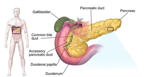 Pancreas pain