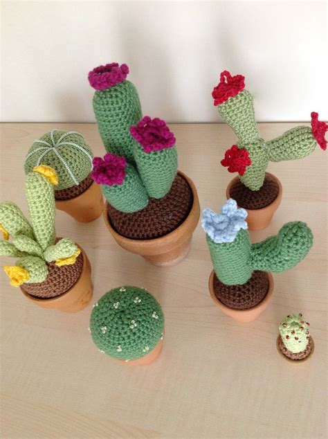 Amigurumi A Uncinetto Piante Grasse Nel Cactus All Uncinetto