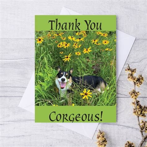 Cute Thank You Card Corgi Card Thank You Gorgeous Cute Dog Etsy Canada