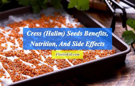 Cress Halim Seeds Benefits Nutrition And Side Effects