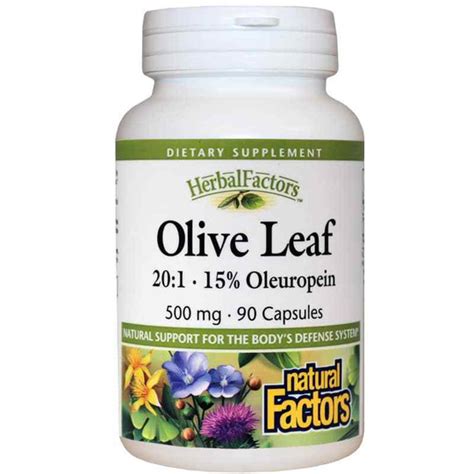 Olive Leaf 500 Mg Natural Factors