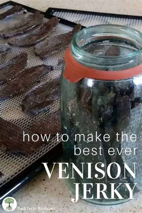 The Best Ever Venison Jerky Recipe Back To Our Roots