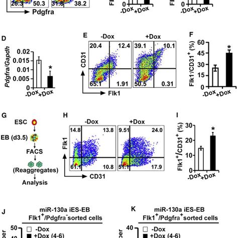 Mir 130a Targets Pdgfra And Mir 130a Pdgfra Pathway Modulates Download Scientific Diagram