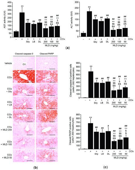 MLD Attenuates Apoptosis Of Hepatocytes A Effects Of MLD On Serum