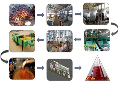 Palm oil extraction process_manufacturers Palm oil extraction process ...