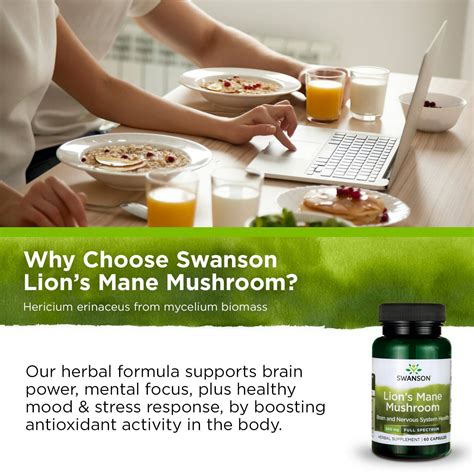 Swanson Herbal Supplement Lion S Mane Mushroom 500 Mg 60 Capsule 87614110967 Ebay