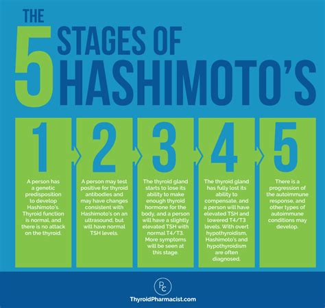 The 5 Stages Of Hashimotos Thyroiditis Dr Izabella Wentz 2023