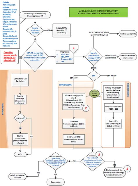 Congestive Heart Failure Diagram