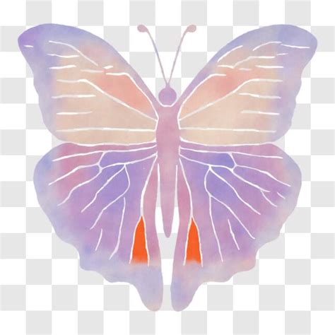 Descarga Mariposa colorida con alas rosadas y moradas PNG En Línea