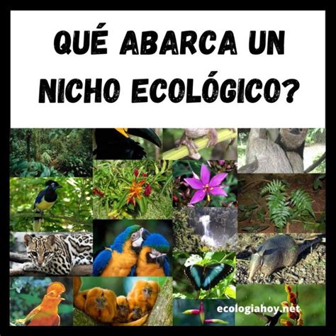 Qué es un Nicho ecológico Ecología Hoy