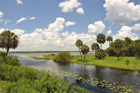 15 Best Things To Do In And Near North Port Florida Trip101