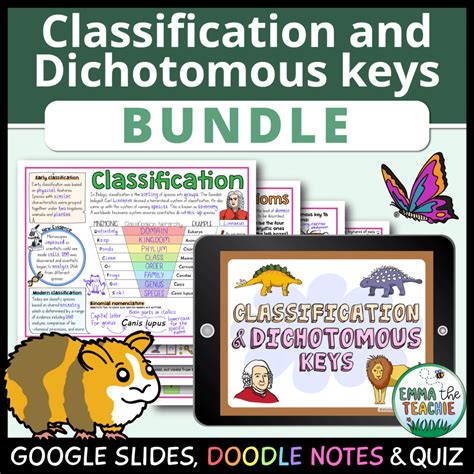 Classification And Dichotomous Keys Lesson Bundle