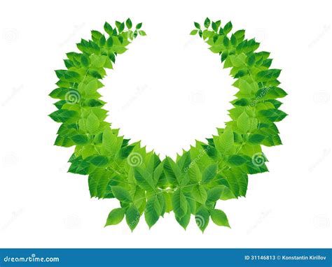 Green Leaves Wreath stock image. Image of winning, greece - 31146813