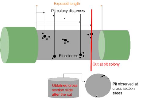 Schematic description of surface characterization [32]. | Download ...