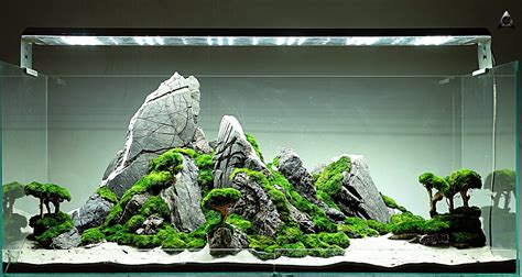 Aran Acje Do Akwarium S Odkowodnego Aquascape Design Amazing