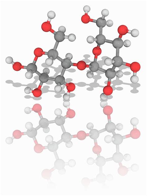 Maltose Organic Compound Molecule Photograph By Laguna Designscience