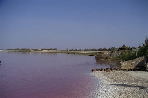 Unde se află cel mai mare lac roz din lume Un VIDEO spectaculos şi