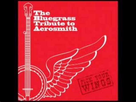 Uncle Salty The Bluegrass Tribute To Aerosmith Pick Your Wings YouTube