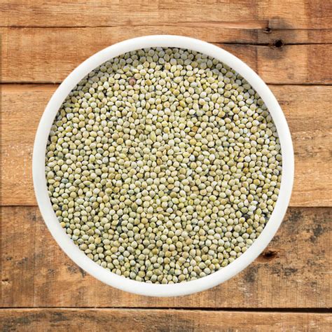 Buy White Millet For Birds Online Free Pp Over £25 Feeds And Seeds